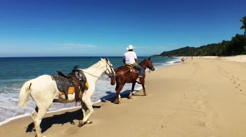 Horse and Cowboy on Beach Cine Color  Stock Footage