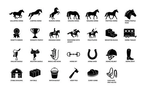 Horse and equestrian solid icon set containing icons for galloping horse, s.. Ilustração Stock
