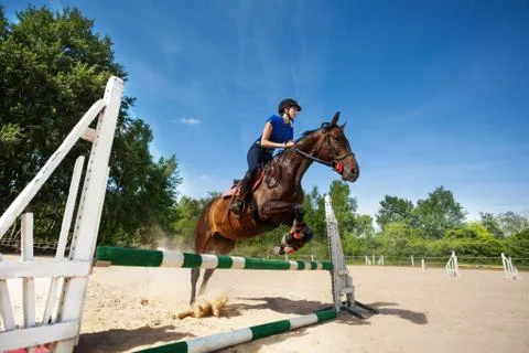 Horse and female jockey jumping over barrier Stock Photos