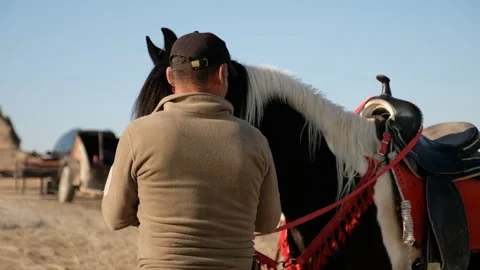 Horse and Keeper 库存影片 265192697