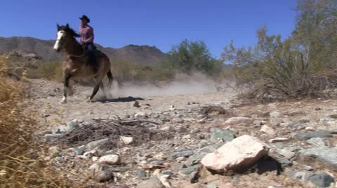 Horse and rider galloping by. 스톡 동영상 24996492