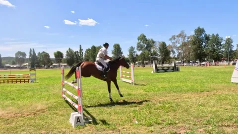 Horse and Rider Navigating Jumping Course Vídeos de archivo 308430971