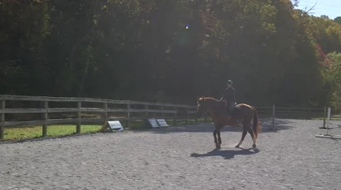 Horse and Riders Training in Ring/Lessons Stock Footage 63127929