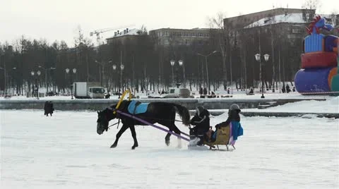 Horse and sledge Stock Footage 18174143