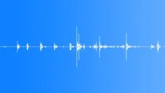 Horse approach and stopSound Effect