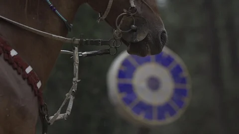 Horse archery Stock-Footage 86689357