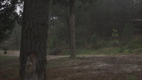 Horse archery Stock-Footage 86689475