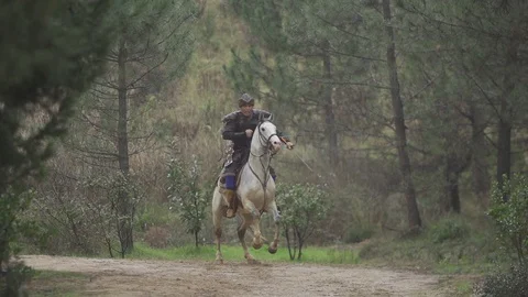 Horse archery Stock-Footage 86689496