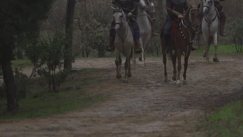 Horse archery Stock-Footage 86689503