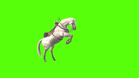 Horse Attack Green Screen Animation and ... | Stock Video | Pond5