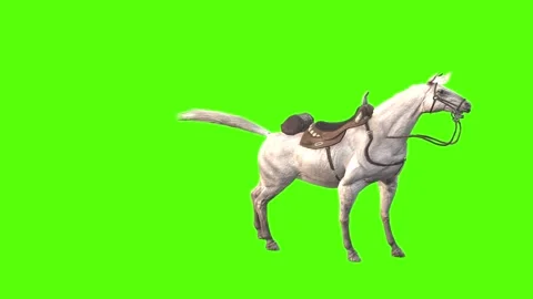 Horse Attack Green Screen Animation and ... | Stock Video | Pond5