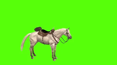 Horse Attack Green Screen Animation and ... | Stock Video | Pond5