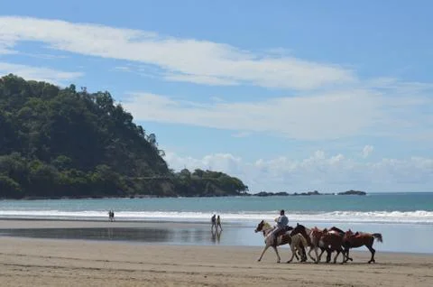 Horse back riding on the Beach Jaco, Costa Rica. Stock Photos