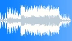 HORSE BACK RIDING Stock Music