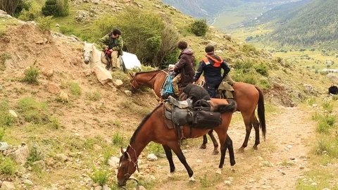 Horse back walking in the mountains Stock Footage 124534650