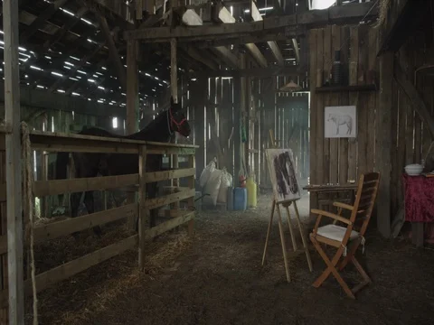 Horse in a Barn Stock Footage 77338245