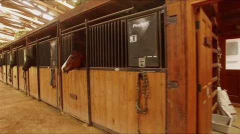 Horse Barn Walk through angled Stock Footage 66856726