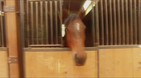 Horse Barn Walk through Stock Footage 66856760