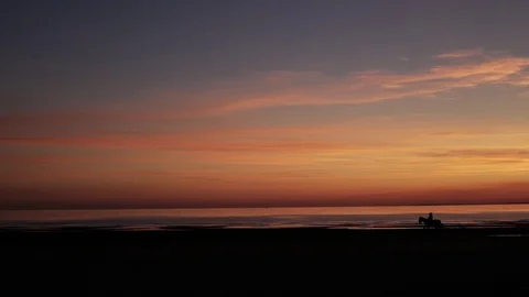 Horse at the beach on sunset background. Stock Footage 115419052