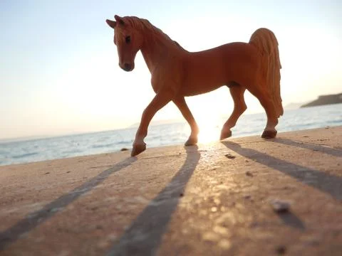 Horse on the beach at sunset Stock Photos