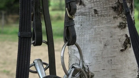 Horse bit and bridle hanging outside a horses stable Stock Footage