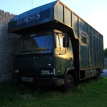 Horse box Stock Photos