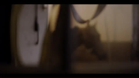 HORSE IN BOX STALL Stock Footage 25162950