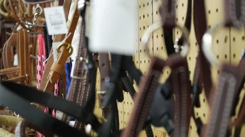 Horse bridle in store 動画素材 48131799