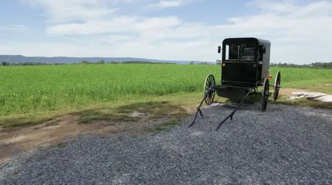 Horse Buggy in Field Stock Footage 21789022