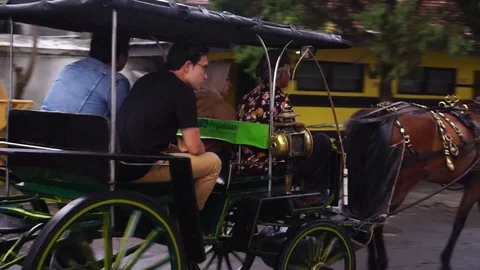Horse carriage Stock Footage 102097424