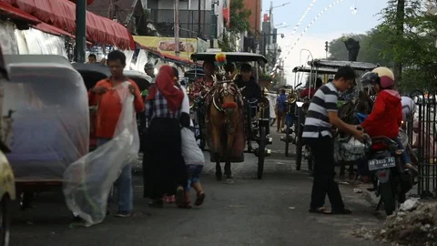 Horse carriage Video stock 127372162