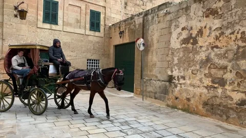 Horse carriage is moving across tiny stone street. Mdina, Malta Stock Footage 259879861