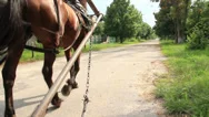 Horse Cart Carriage, Low Angle View, Harnessed Animal, Summer Stock Footage
