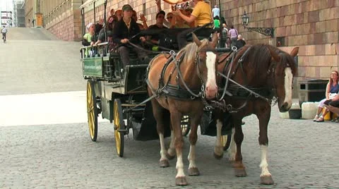 Horse cart Stock Footage 8927432