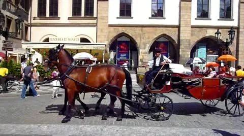 Horse cart Stock Footage 10849022