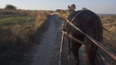 Horse cart Stock Footage