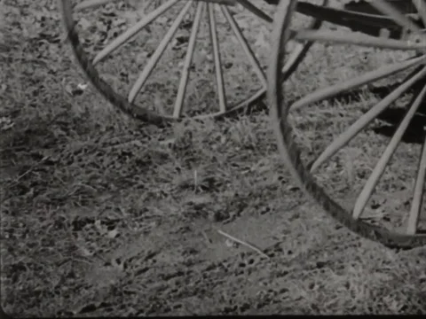Horse cart passes through damaged road - 1953 Stock Footage