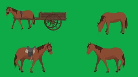 Horse Cart Wagon Saddle 2d animated cartoon character on green screen High Stock Footage 334703432