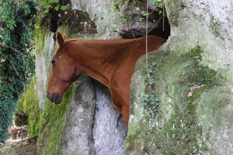 A horse in a cave Stock Photos
