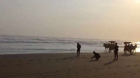 Horse chasing sunset on the beach 動画素材 219742176