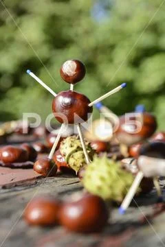 Horse chestnut human shape symbolic Autumn Stock Photos