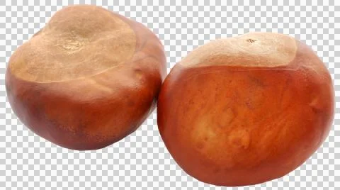 Horse chestnuts Stock Photos