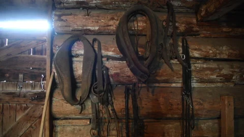 Horse collars, tack, hanging on log barn wall, 4k Stock Footage 164265225