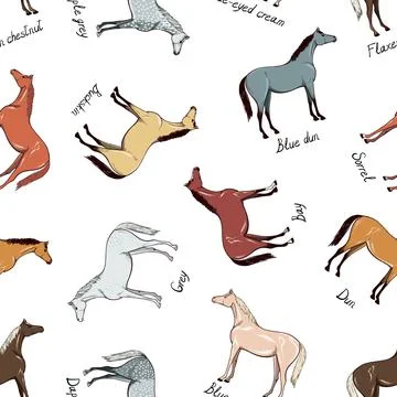 Horse color chart seamless pattern. Equine coat color with text. Equestrian 스톡 일러스트