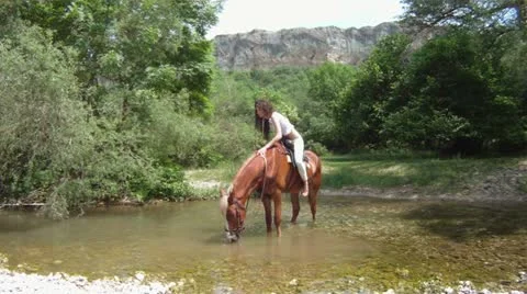 Horse crossing a river Stock Footage 16863939