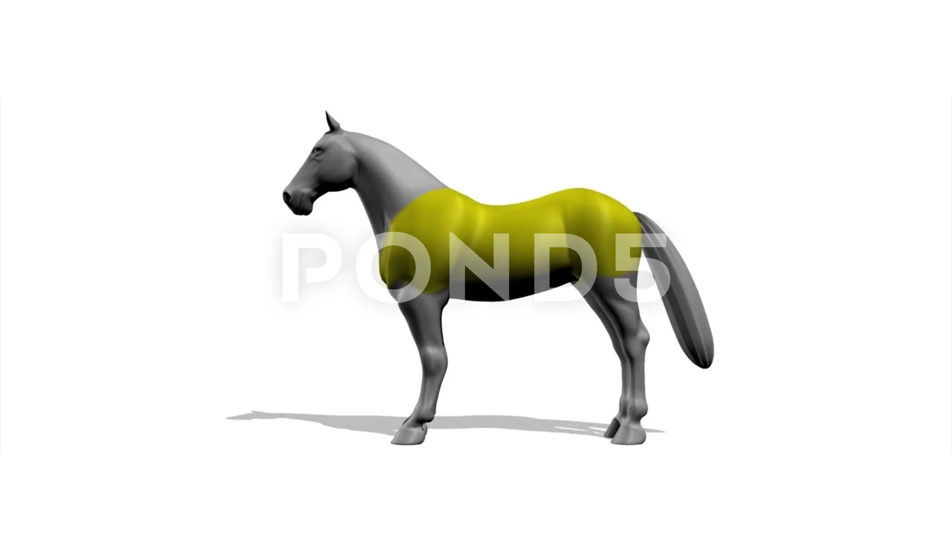 horse dance video download horse dance video download