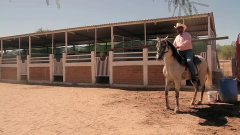 Horse dancer mounted by cowboy Stock Footage 81733265