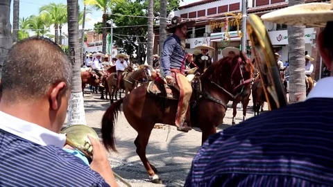 Horse dancing on the Mexican Independence Day Stock Footage 81156764