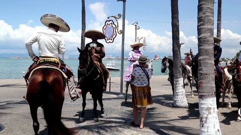 Horse dancing, ocean Stock Footage 81152464