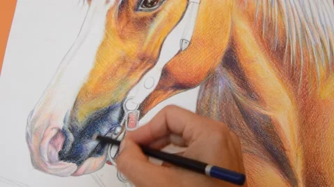 Horse drawing Stock Footage 134243376